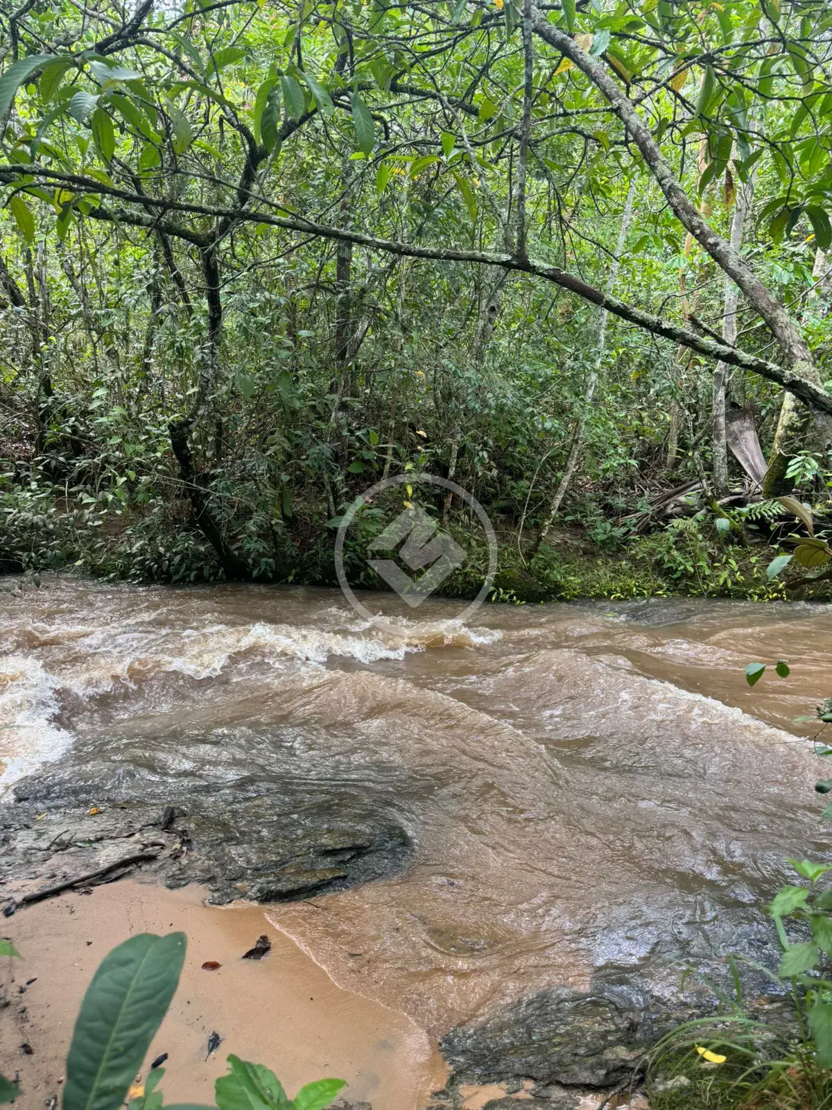 Imagem 1 - Fazenda em Zona Rural Hidrolandia, Hidrolândia - GO