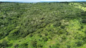 Imagem 2 - Fazenda em Zona Rural Hidrolandia, Hidrolândia - GO