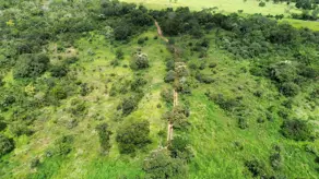 Imagem 3 - Fazenda em Zona Rural Hidrolandia, Hidrolândia - GO
