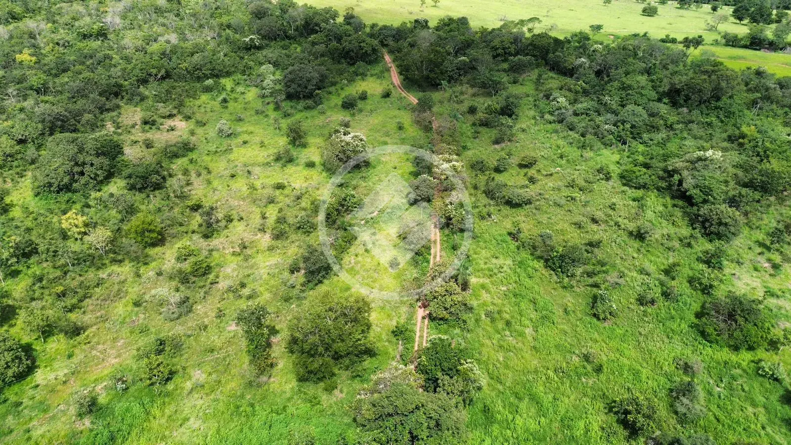 Imagem 3 - Fazenda em Zona Rural Hidrolandia, Hidrolândia - GO