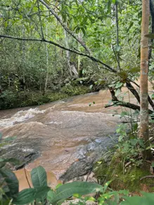 Fazenda Zona Rural Hidrolandia, Hidrolândia - GO — foto 1