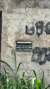 Imagem 2 - Terreno em Setor Terra Prometida, Aparecida de Goiânia - GO