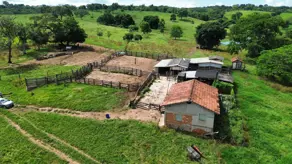 Fazenda Rural, Piracanjuba - GO — foto 2
