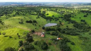 Imagem 3 - Fazenda em Rural, Piracanjuba - GO