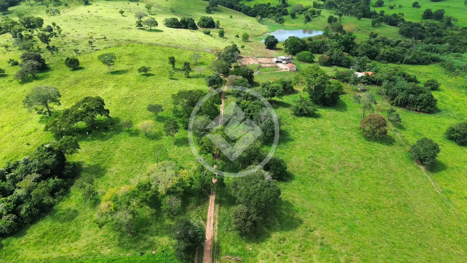 Imagem 5 - Fazenda em Rural, Piracanjuba - GO