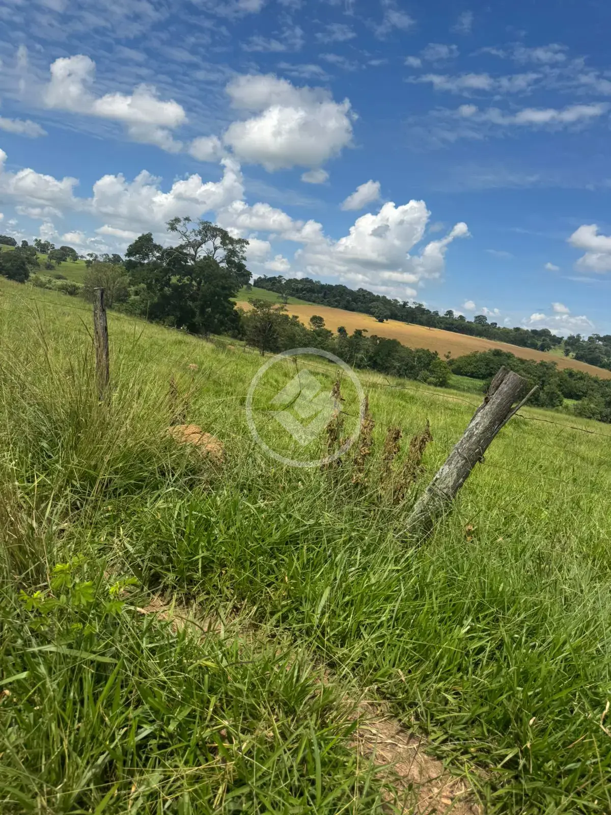 Imagem 6 - Fazenda em Rural, Piracanjuba - GO