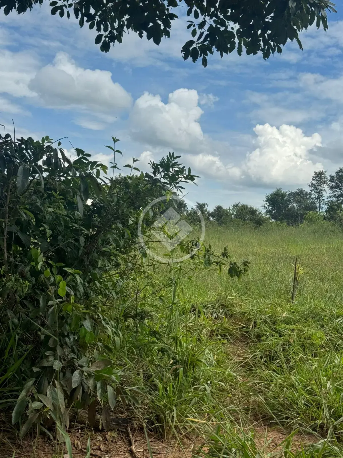Image 24 - Fazenda em Rural, Piracanjuba - GO