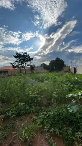 Imagem 2 - Terreno em Setor Santa Bárbara, Hidrolândia - GO