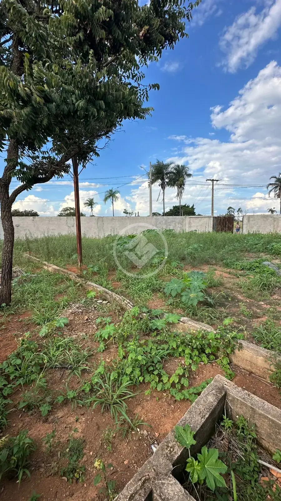 Image 14 - Terreno em Setor Santa Bárbara, Hidrolândia - GO
