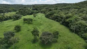 Fazenda Zona Rural, Mairipotaba - GO — foto 2