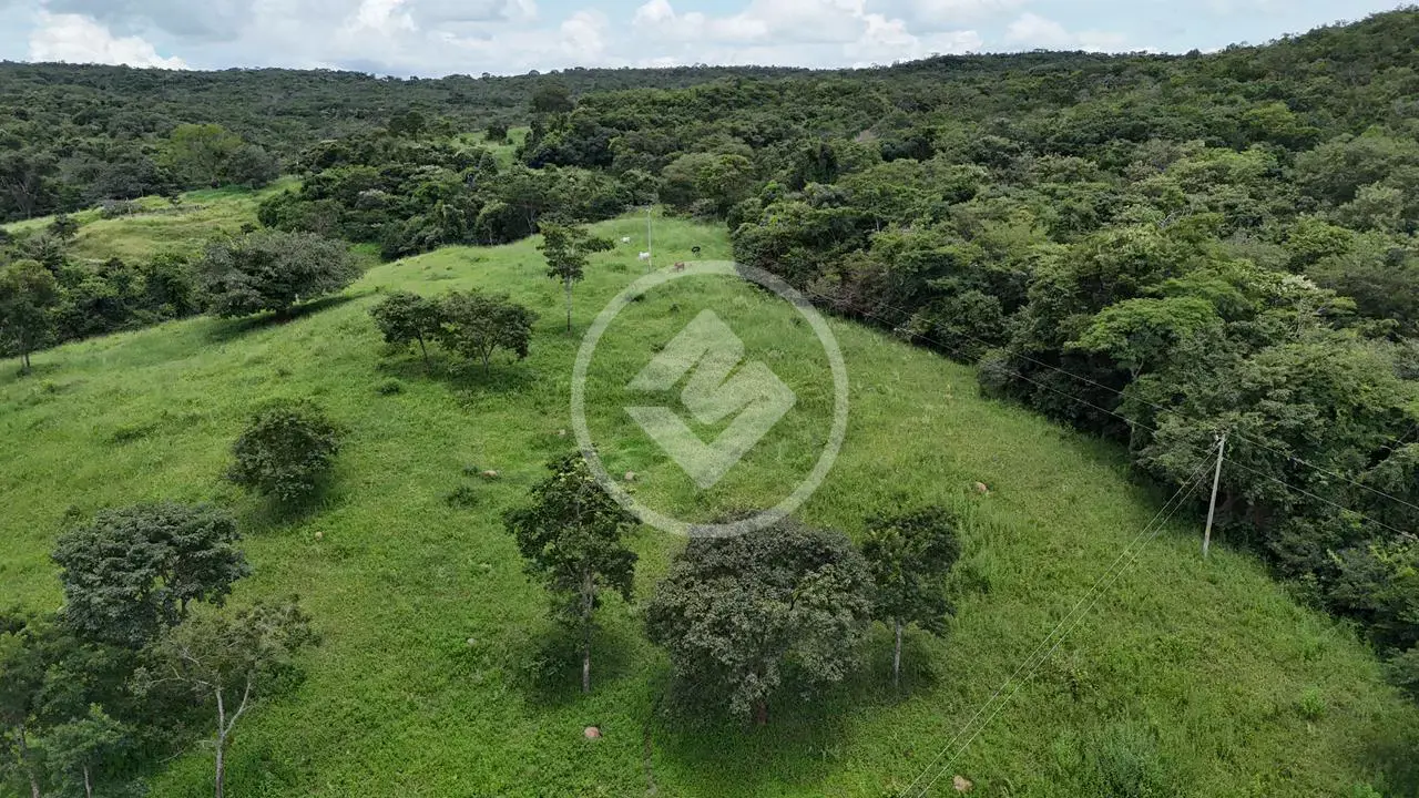 Image 2 - Fazenda em Zona Rural, Mairipotaba - GO