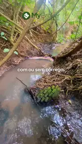 Imagem 3 - Chácara em Triângulo três, Hidrolândia - GO