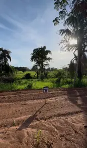 Chácara Triângulo três, Hidrolândia - GO — foto 2