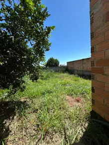 Imagem 4 - Casa em Village dos Ipês, Hidrolândia - GO