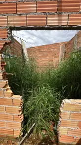 Imagem 6 - Terreno em Setor Benjamin, Hidrolândia - GO