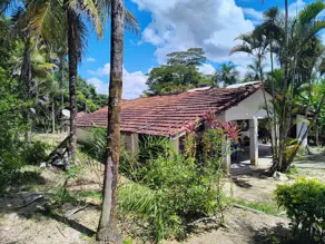 Imagem 5 - Fazenda em Zona Rural, Cromínia - GO