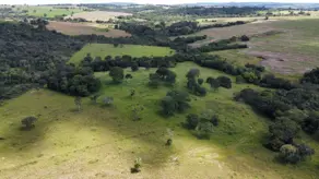 Imagem 2 - Fazenda em Zona Rural, Cromínia - GO