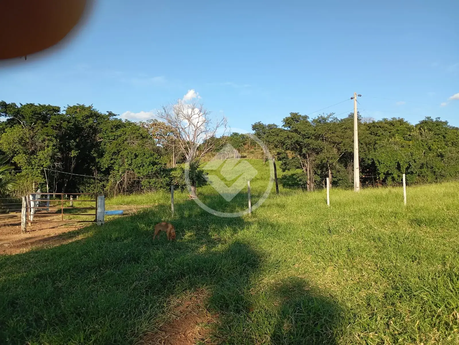 Imagem 1 - Fazenda em Zona Rural, Pontalina - GO