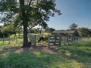 Fazenda Zona Rural, Pontalina - GO — foto 2
