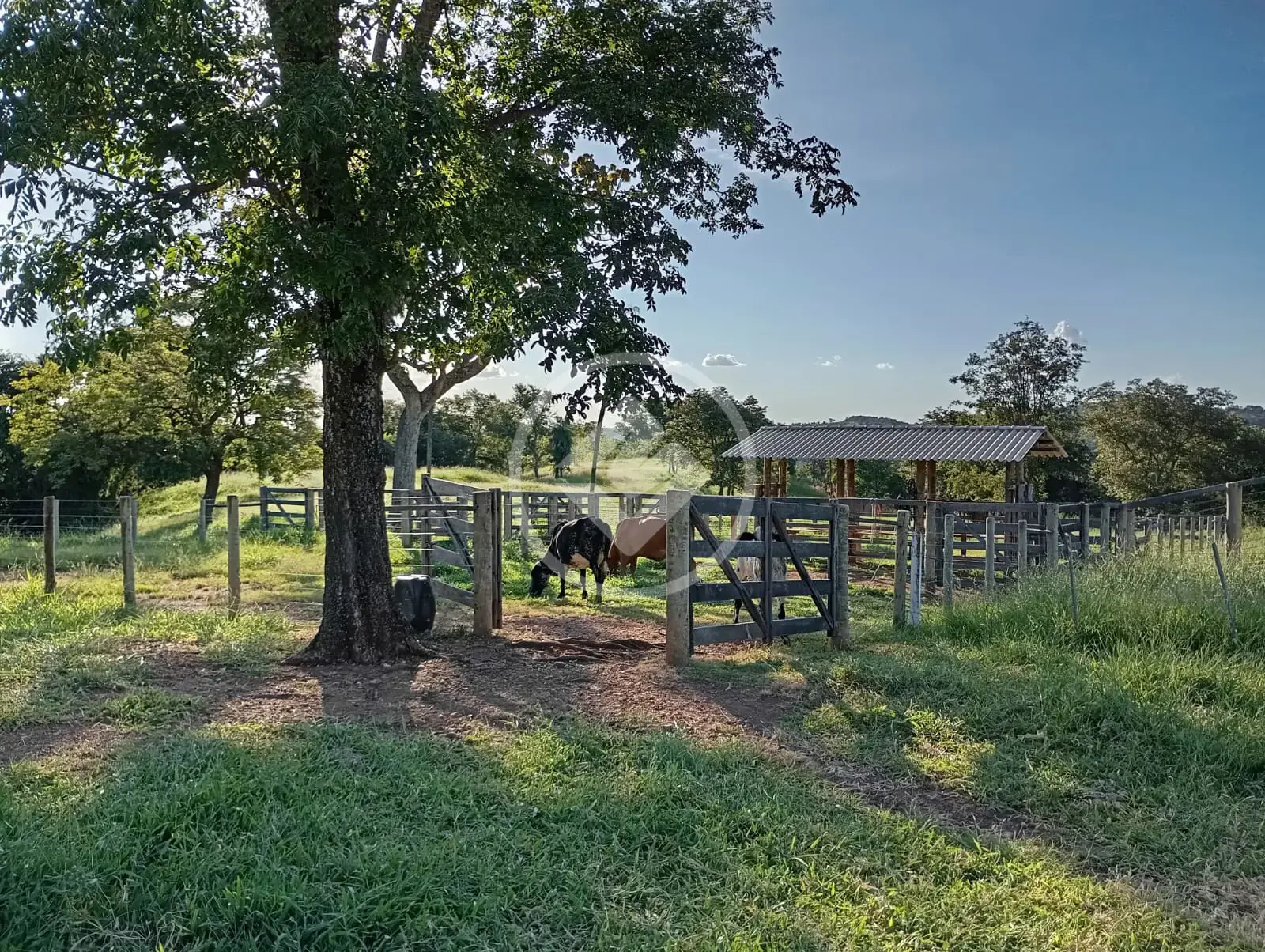 Image 2 - Fazenda em Zona Rural, Pontalina - GO