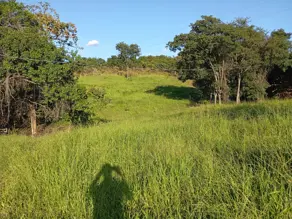 Imagem 3 - Fazenda em Zona Rural, Pontalina - GO