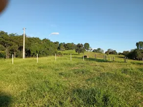 Imagem 6 - Fazenda em Zona Rural, Pontalina - GO