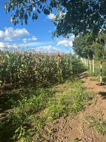 Chácara santa maria, Hidrolândia - GO — foto 1