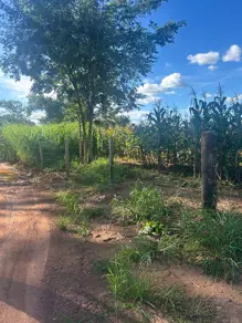 Imagem 2 - Chácara em santa maria, Hidrolândia - GO