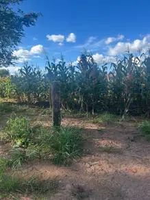 Imagem 5 - Chácara em santa maria, Hidrolândia - GO