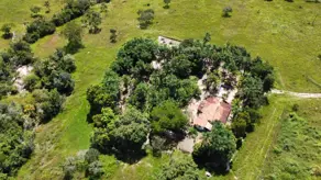 Imagem 4 - Fazenda em Zona Rural, Cromínia - GO