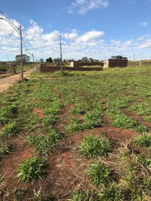 Imagem 3 - Terreno em Loteamento Araguaia, Goianira - GO