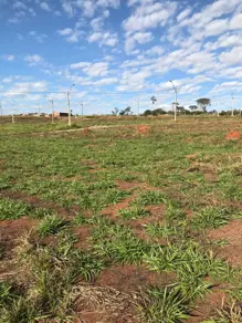 Imagem 4 - Terreno em Loteamento Araguaia, Goianira - GO