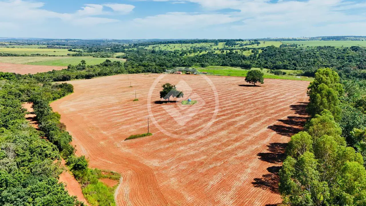 Image 4 - Fazenda em Área Rural de Morrinhos, Morrinhos - GO