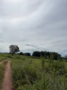 Imagem 3 - Fazenda em Área Rural de Morrinhos, Morrinhos - GO