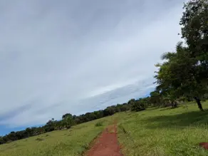 Imagem 4 - Fazenda em Área Rural de Morrinhos, Morrinhos - GO