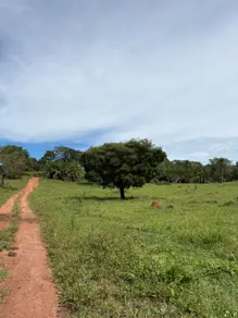 Imagem 6 - Fazenda em Área Rural de Morrinhos, Morrinhos - GO