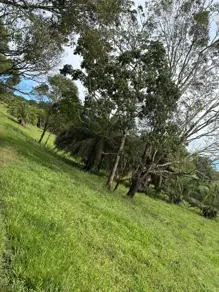 Fazenda Área Rural de Morrinhos, Morrinhos - GO — foto 2