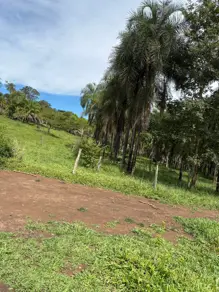 Imagem 2 - Fazenda em Área Rural de Morrinhos, Morrinhos - GO