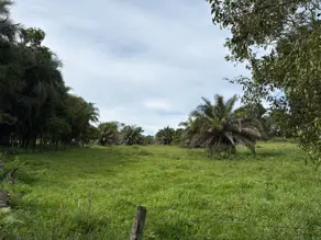 Imagem 5 - Fazenda em Área Rural de Morrinhos, Morrinhos - GO