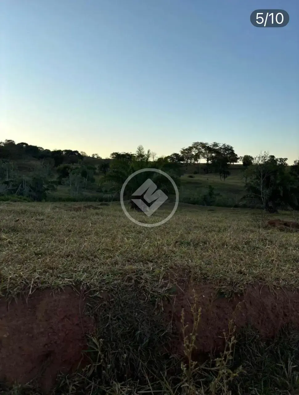 Image 36 - Fazenda em Área Rural de Morrinhos, Morrinhos - GO