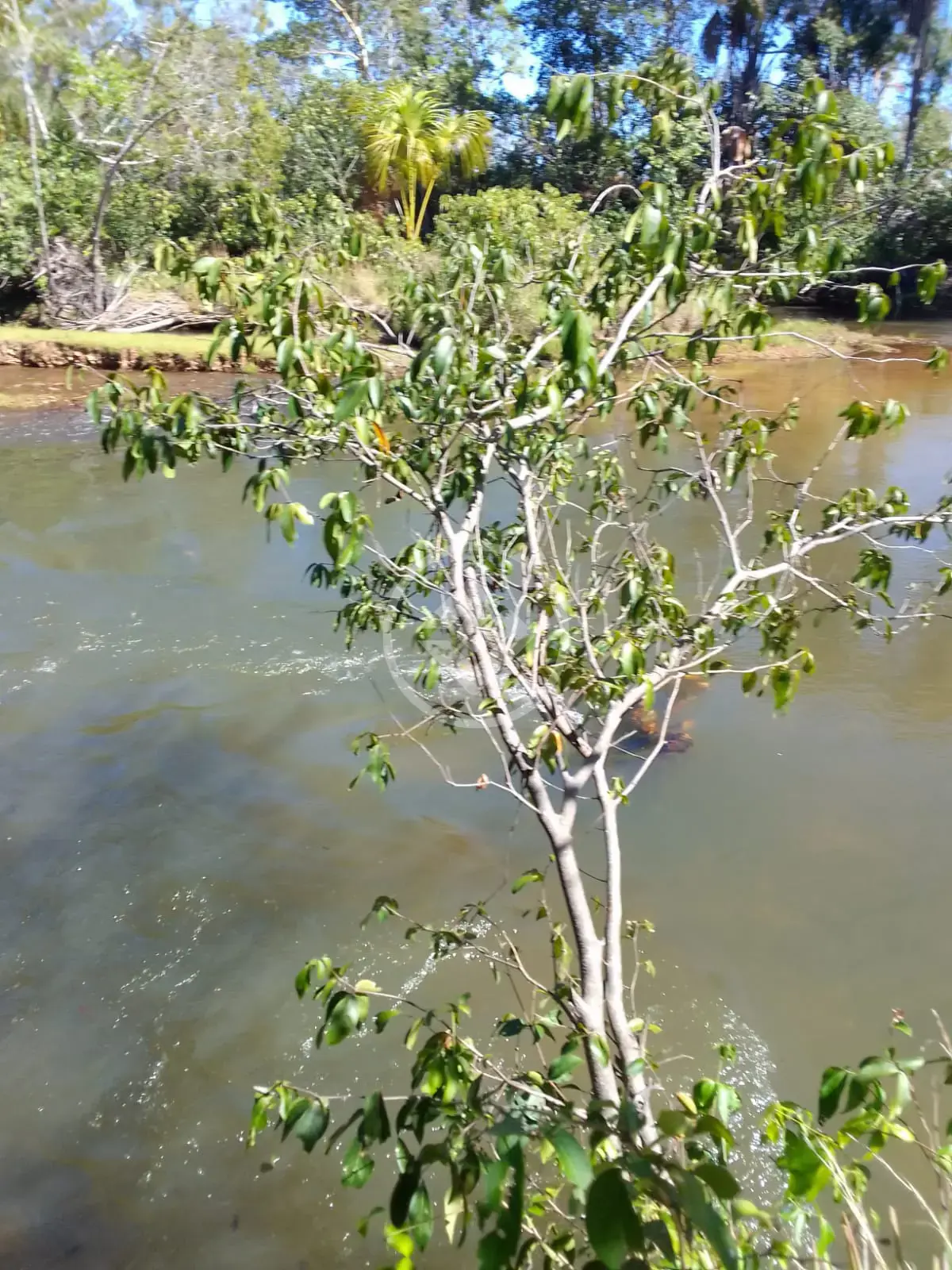 Imagem 1 - Fazenda em Zona Rural Mansinha, Rio Sono - TO