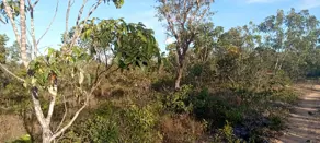 Imagem 2 - Fazenda em Zona Rural Mansinha, Rio Sono - TO