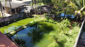 Imagem 6 - Chácara em Setor Industrial, Hidrolândia - GO