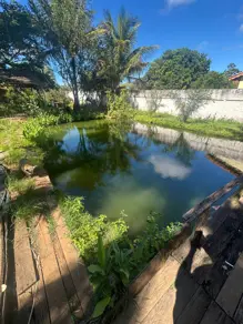 Imagem 3 - Chácara em Setor Industrial, Hidrolândia - GO