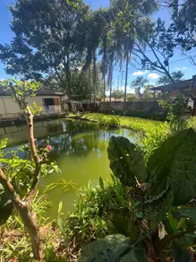 Imagem 2 - Chácara em Setor Industrial, Hidrolândia - GO