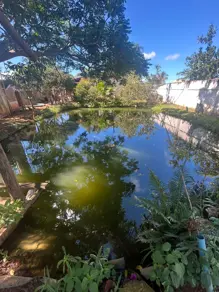 Imagem 4 - Chácara em Setor Industrial, Hidrolândia - GO