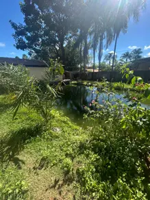 Imagem 5 - Chácara em Setor Industrial, Hidrolândia - GO