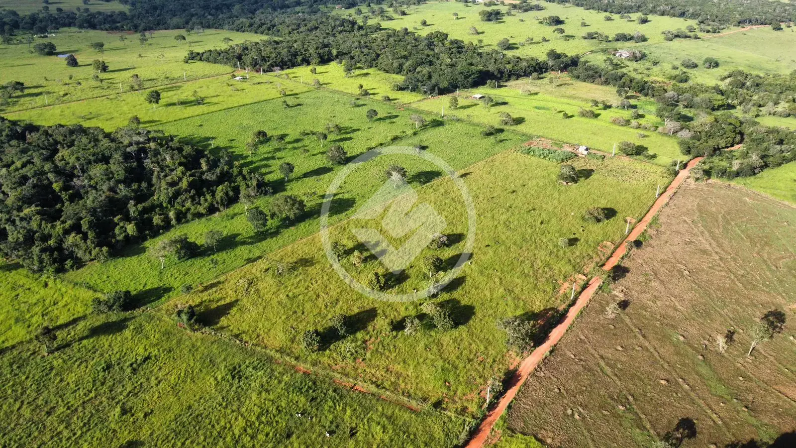 Image 2 - Chácara em Região São Brás, Hidrolândia - GO
