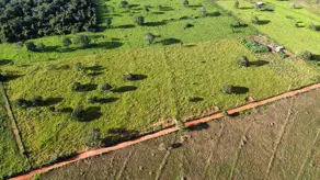 Imagem 4 - Chácara em Região São Brás, Hidrolândia - GO