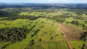 Imagem 5 - Chácara em Região São Brás, Hidrolândia - GO